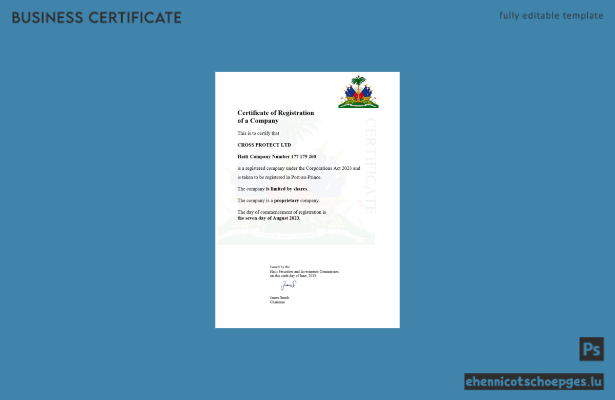 Haiti-Registrierungsbescheinigung – Beispielansicht in Word und PDF